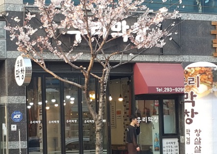 우리막창 : 【 급구 (여) 홀서빙 아르바이트 모집 】 - 알바선진국... 포항시 남구 / 우리막창 / 【 급구 (여) 홀서빙 아르바이트 모집 】 / 8,000원