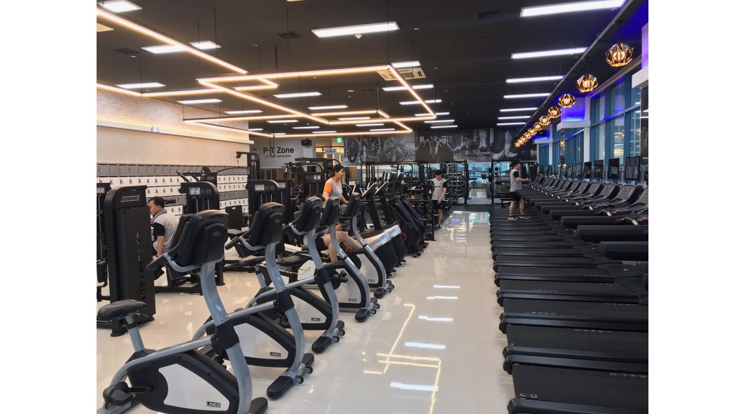국제휘트니스 : 【월300이상/부산 국제휘트니스 화명점】오후정직.파트/팀장급 트레이너... 북구 / 국제휘트니스 / 【월300이상/부산... 
