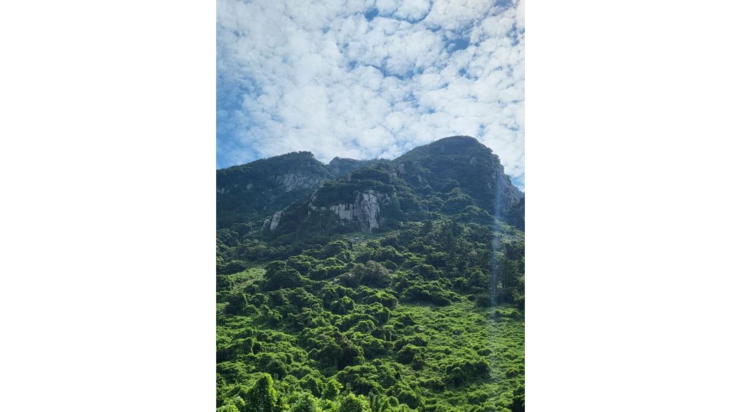 채선당사계리점 : 채선당 사계리점 홀서빙 또는 주방 직원... - 알바천국 [알바천국] 제주 서귀포시 / 채선당사계리점 / 채선당 사계리점 홀서빙... 