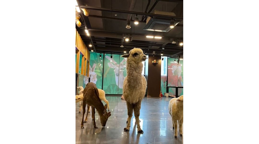 와우쥬 양산점 : 실내동물원 와우쥬 양산점 물금읍 (주말 오후)... 양산시 / 와우쥬 양산점 / 실내동물원 와우쥬 양산점 물금읍 (주말 오후)... 