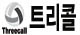 (��)Ʈ���� �븮����
