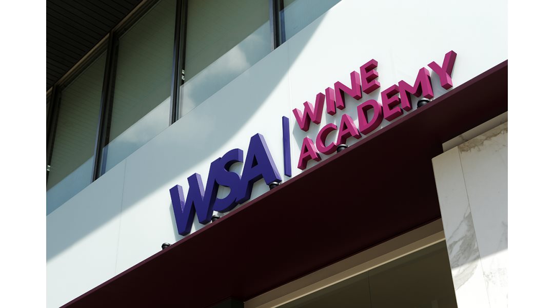 더블유에스에이피디피와인아카데미학원 : WSA와인아카데미에서 강의 운영 및 행사 진행을 함께할 분을 모십니다. - 알바천국 [알바천국] 서울... 