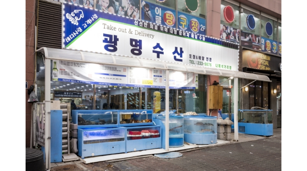 광명수산 나혜석거리점 : 광명수산 주방보조 1명구합니다.... - 알바천국 [알바천국]경기 수원시 팔달구 / 광명수산 나혜석거리점 / 광명수산... 