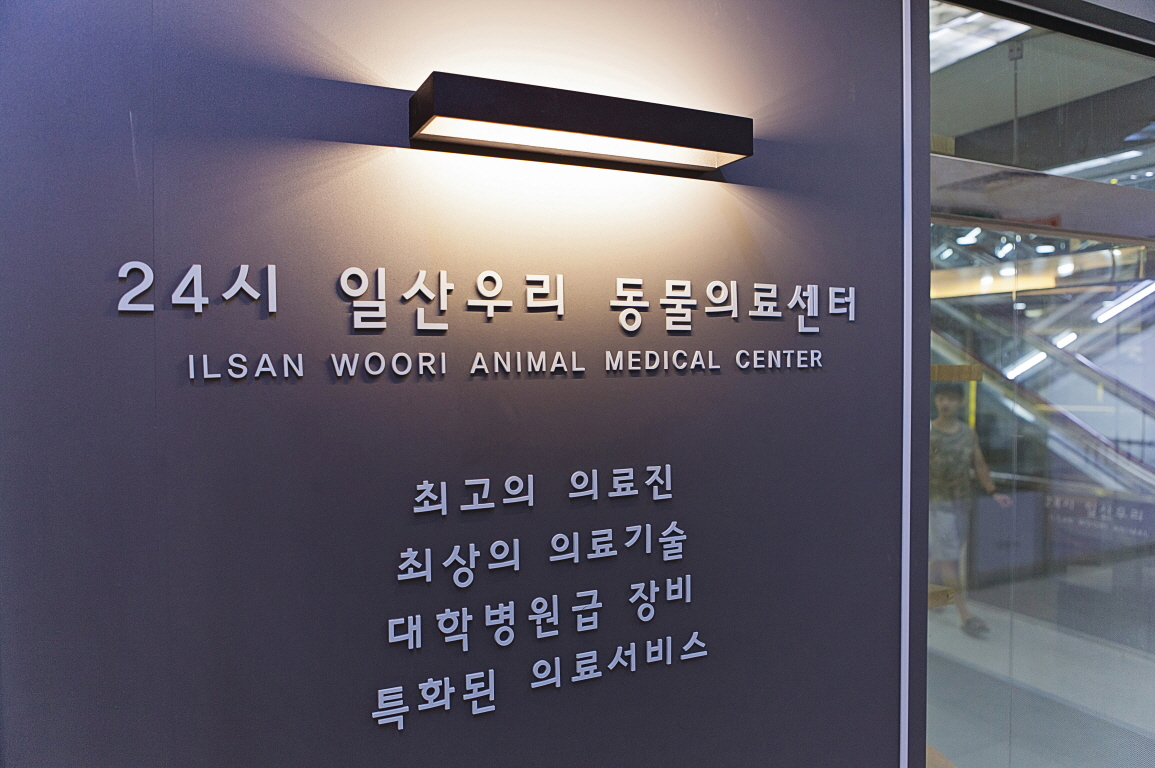 24시 일산우리 동물의료센터 : [일산]24시 일산우리 동물의료센터에서 ＇원무과 (리셉션)＇를 모집합니다. - 알바천국 [알바천국] 경기... 