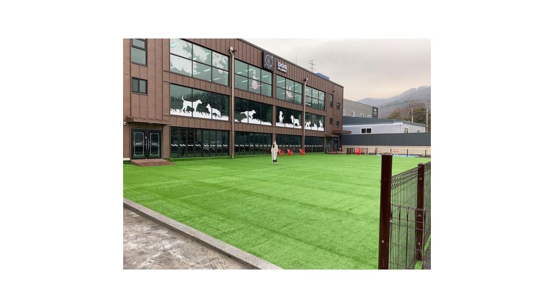 (주)에스엠할인마트 : 의정부 독플래닛 애견운동장 주말아르바이트... 의정부시 / (주)에스엠할인마트 / 의정부 독플래닛 애견운동장... 