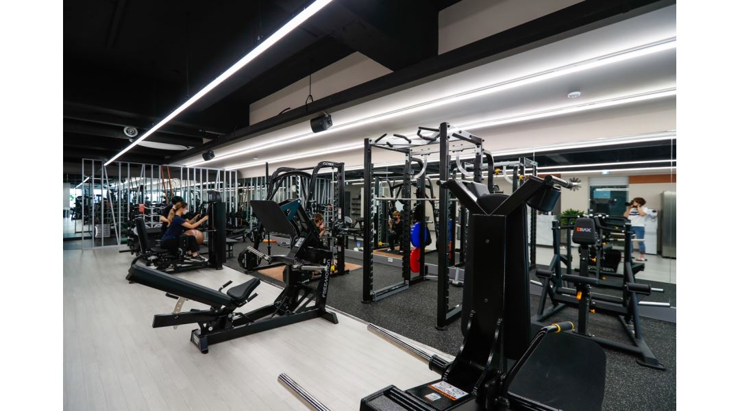 치유짐 : Fitness 치유에서 스트레칭, 매트 필라테스 수업할 강사분을 모십니다. - 알바천국 [알바천국] 대구 수성구 / 치유짐 / Fitness... 