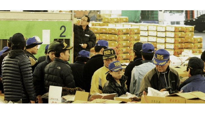 농업회사법인세현(주) : 【 구리농산물도매시장- 청과 상/하차 남직원모집 】경력자,초보자,알바 각1명 - 알바천국 [알바천국] 경기 구리시... 