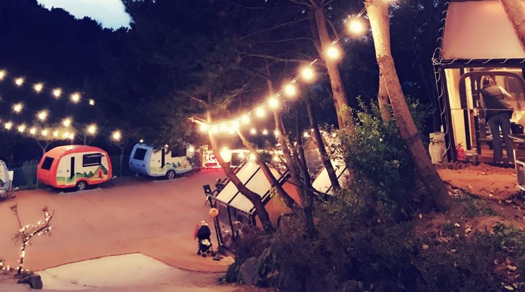 한마음정육식당와동점 : 알바 직원 한마음정육식당 와동점  근무하실분 구합니다 - 알바천국 [알바천국] 대전 전체 / 한마음정육식당와동점... 