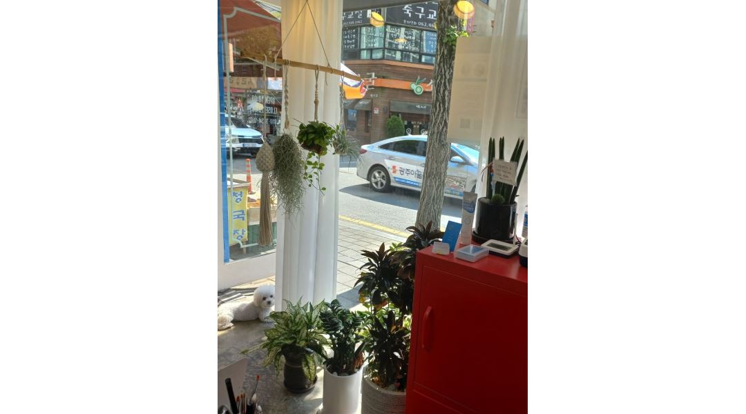 두리온 네일 : 매곡동 두리온 네일 경력자 선생님 모셔요 (광주 네일 / 네일샵 ) - 알바천국 [알바천국] 광주 북구 / 두리온 네일 / 매곡동 두리온... 
