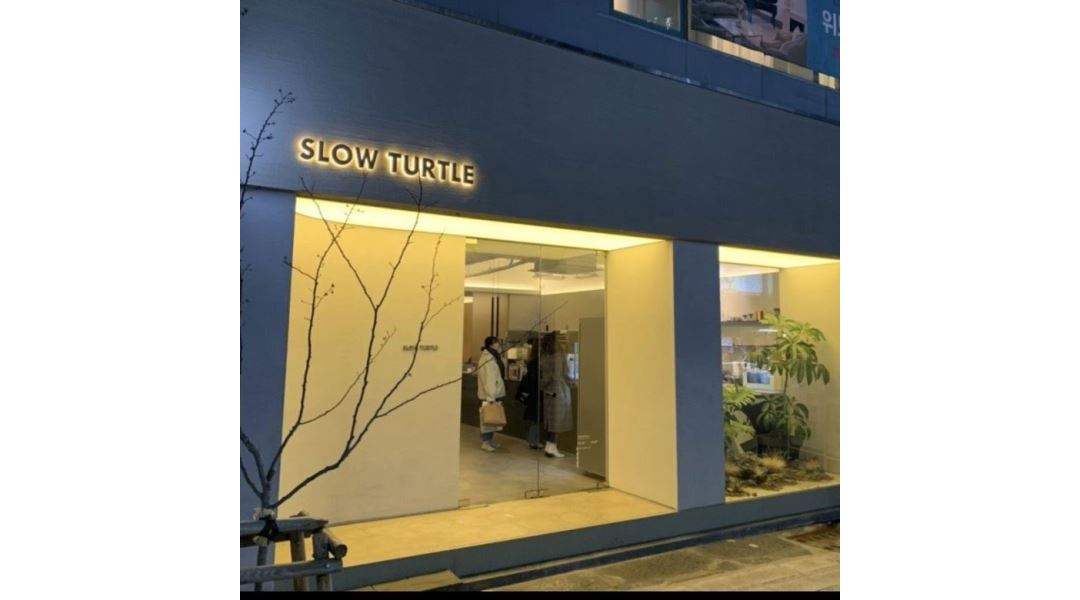 슬로우터틀 : 카페 슬로우터틀 약전골목점에서 진실되게 소통하며 함께 할 인재를 구합니다. - 알바천국 [알바천국] 대구 중구 / 슬로우터틀... 