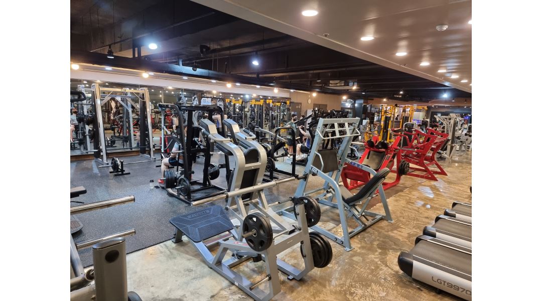 더뉴 젠틀짐 : 젠틀짐 다대포점에서 오전 / 오후 트레이너 선생님 구인합니다 - 알바천국 [알바천국] 부산 사하구 / 더뉴 젠틀짐 / 젠틀짐... 
