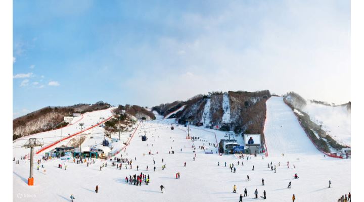 (주)에스에이서울 : 스키투어가이드-영어 / 중국어 - 알바천국... 서울 마포구 / (주)에스에이서울 / 스키투어가이드-영어 / 중국어 / 158,000원