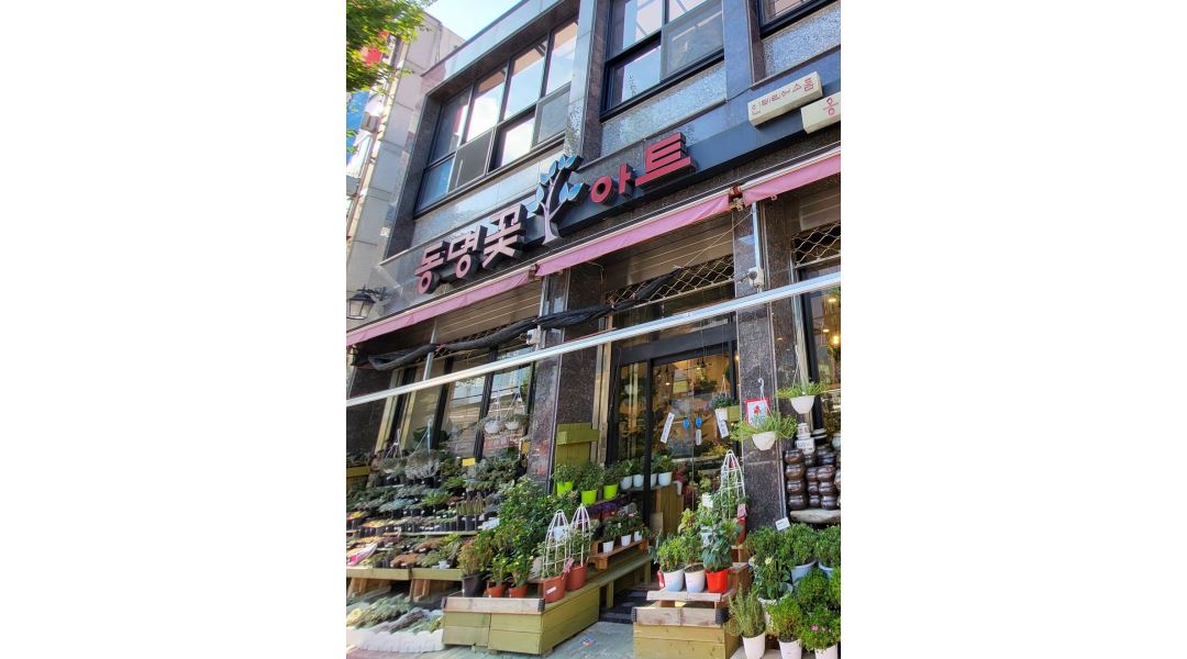 동명꽃아트 : 함께 일하실분 찾아요~ - 알바천국 [알바천국] 울산 전체 / 동명꽃아트 / 함께 일하실분 찾아요~ / 9,620원