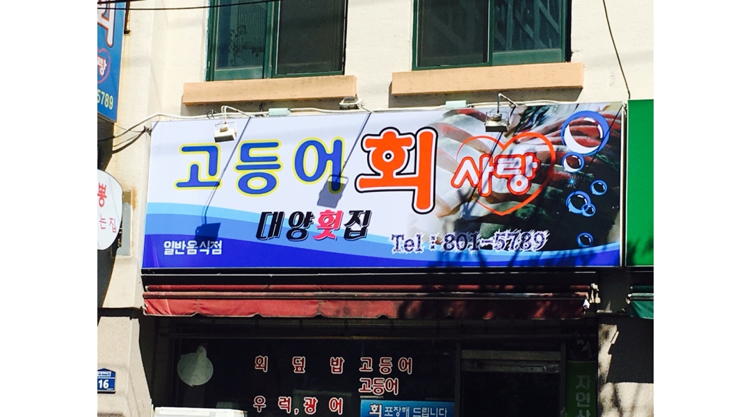 고등어회사랑대양횟집 : 맛의 혁명, 고등어와 함께할 당신을 찾습니다!... 고등어회사랑대양횟집 / 맛의 혁명, 고등어와 함께할 당신을... 