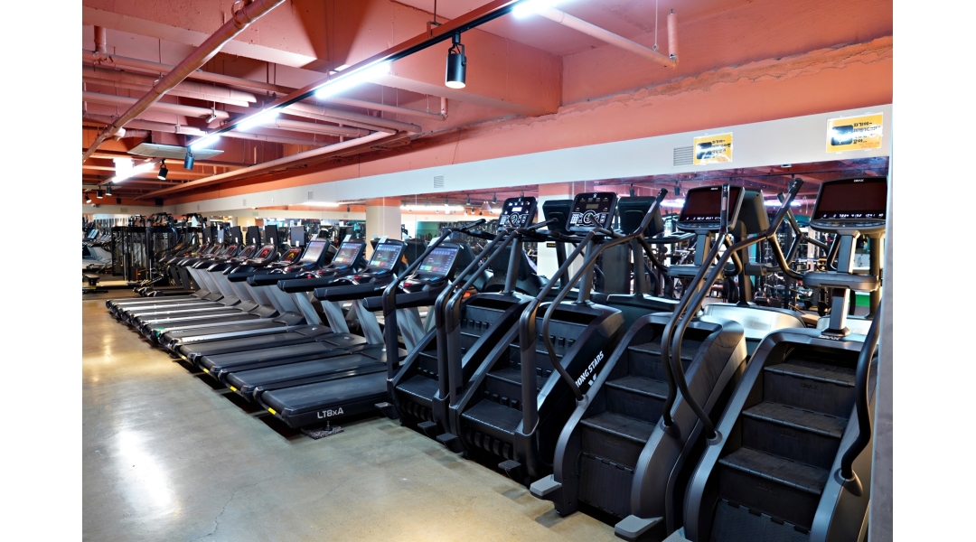 이고짐(EGO GYM) 채용정보 : 양정 이고짐 헬스 오후 트레이너 구인(그룹운동/크로스핏 경력자 우대) - 알바천국