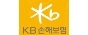 주식회사 케이비손해보험