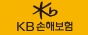 (주)KB손해보험