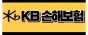 주식회사 케이비손해보험