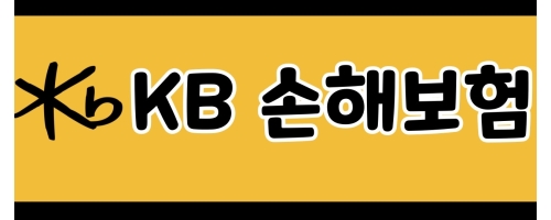 주식회사 케이비손해보험