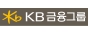 주식회사 케이비손해보험